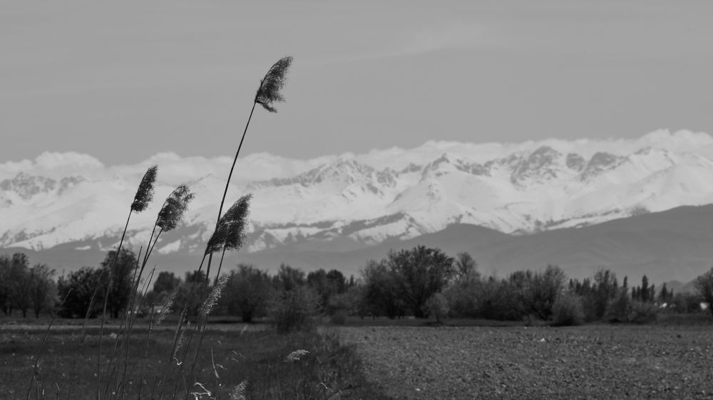 Photograph by Владислав Данилов