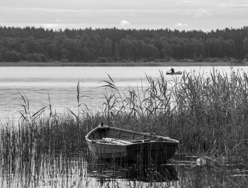 Photograph by Agita Leimane