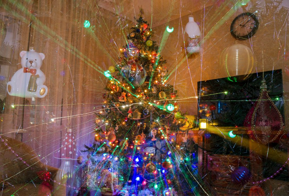 Photograph by Frolova Tatyana