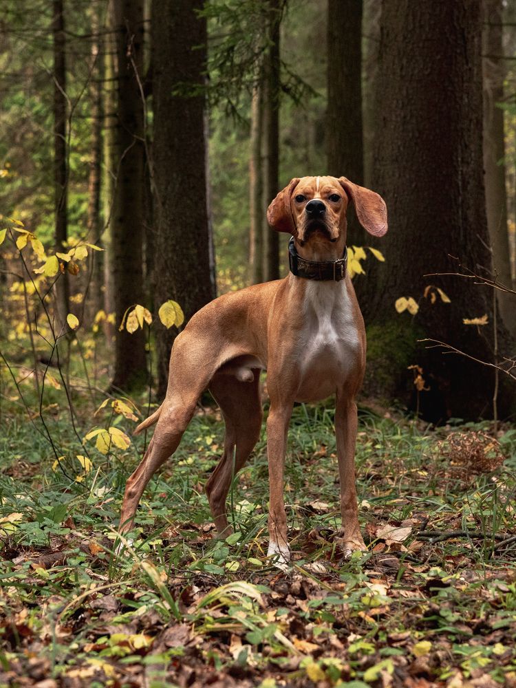 Самый красивый