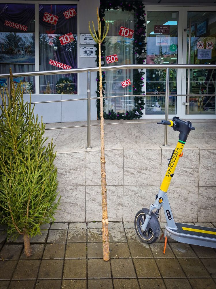 Photograph by Игорь Чечин