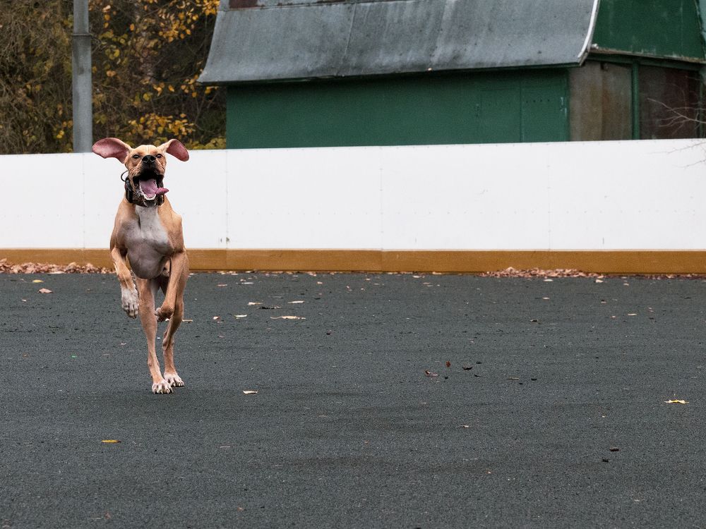 Photograph by Ольга Гришина