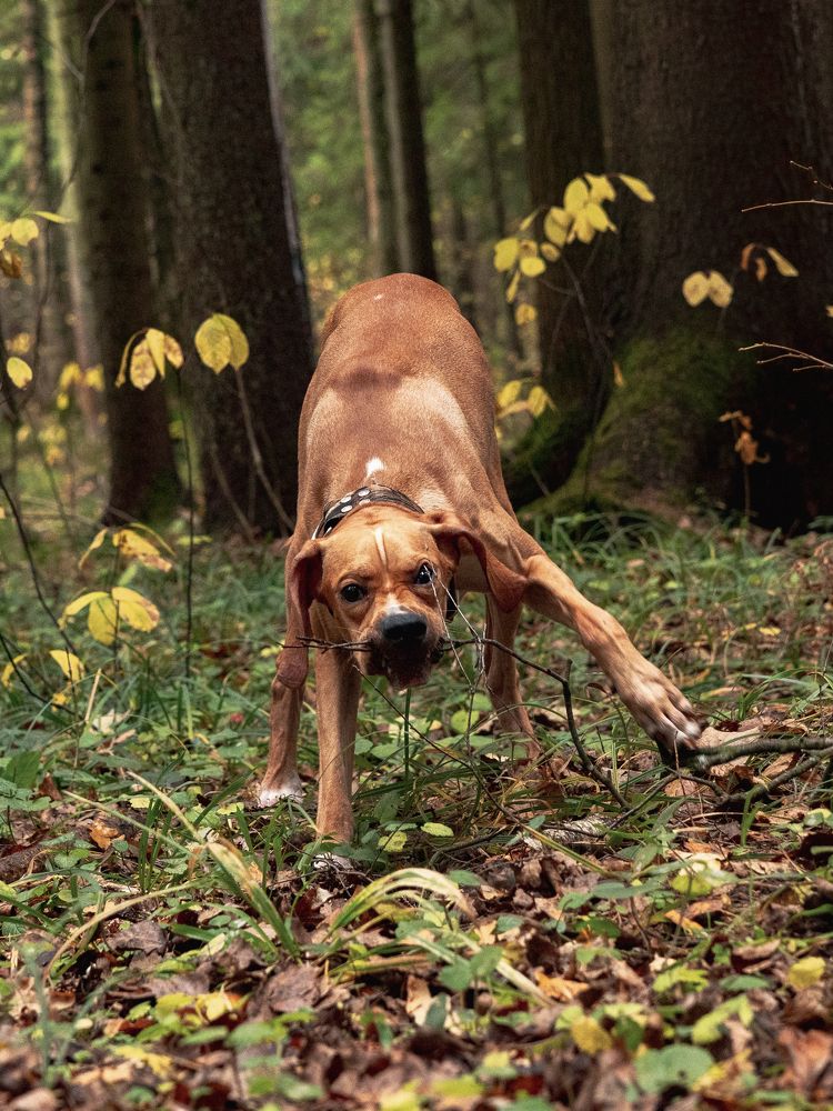 Photograph by Ольга Гришина