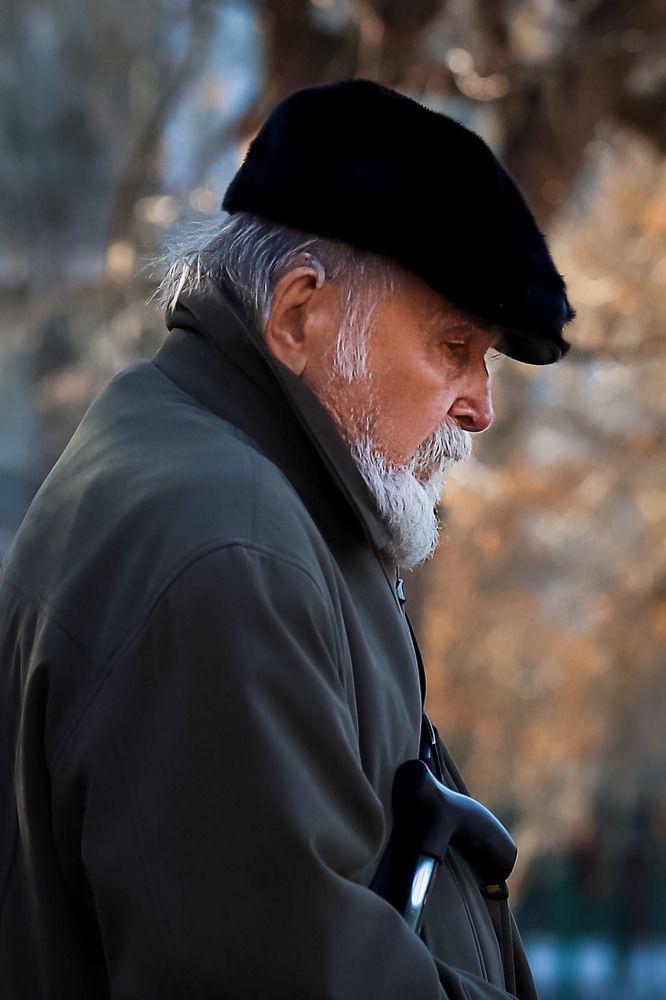 Фотография автора Светлана Цудзевич