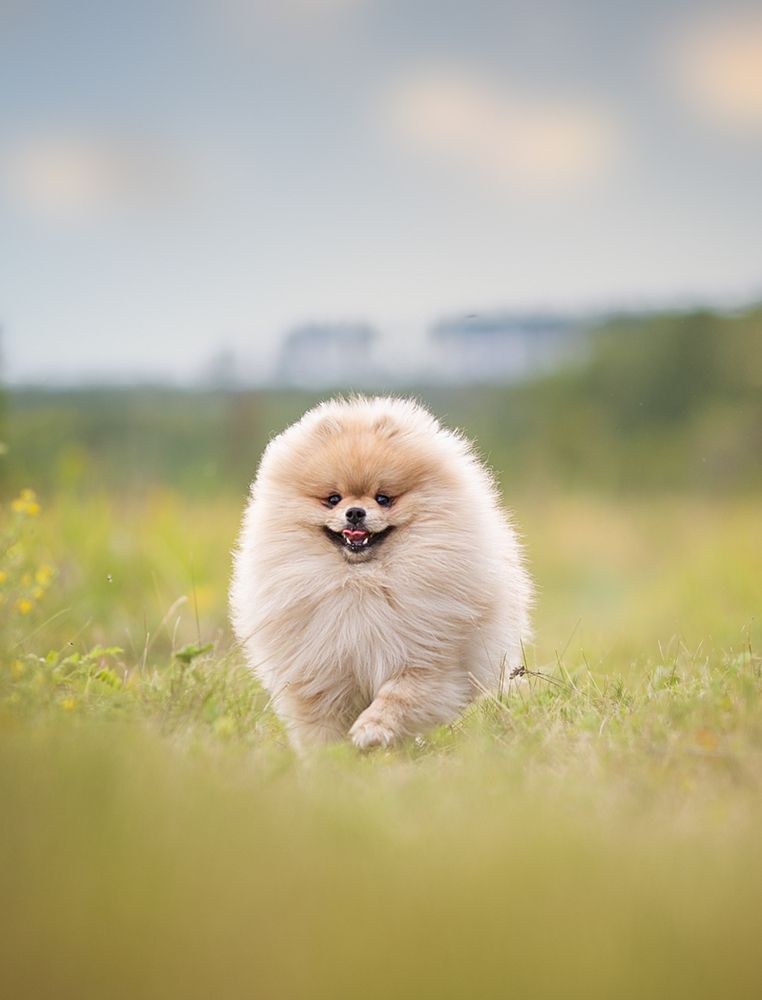 Photograph by Елена Алешечкина