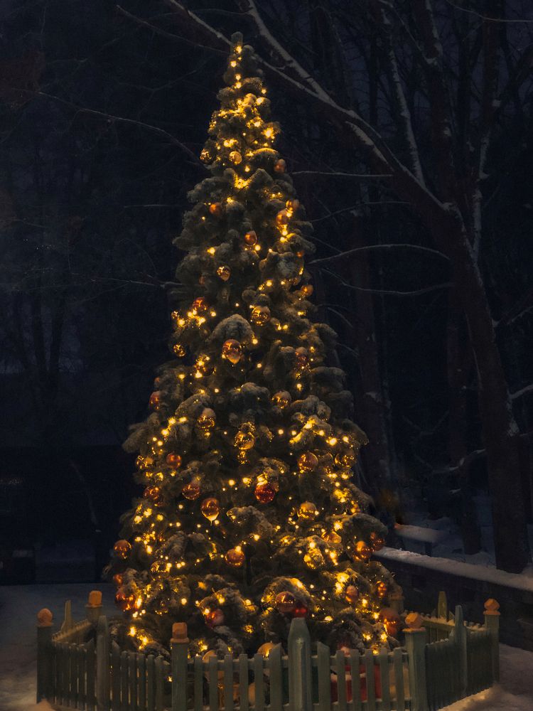 Photograph by Светлана Долганова