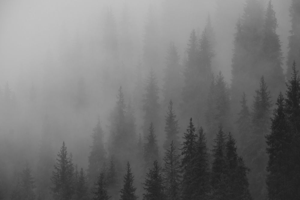 Photograph by Светлана Краюшкина