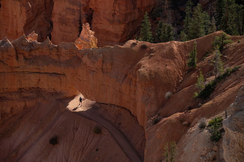 Photograph by Guy Wilson