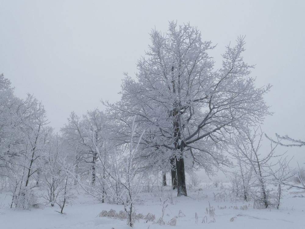 Photograph by Александр Кизим