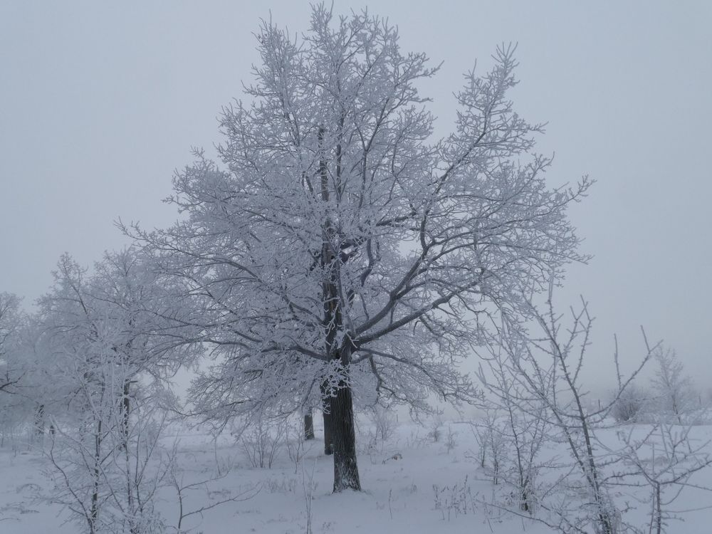 Photograph by Александр Кизим