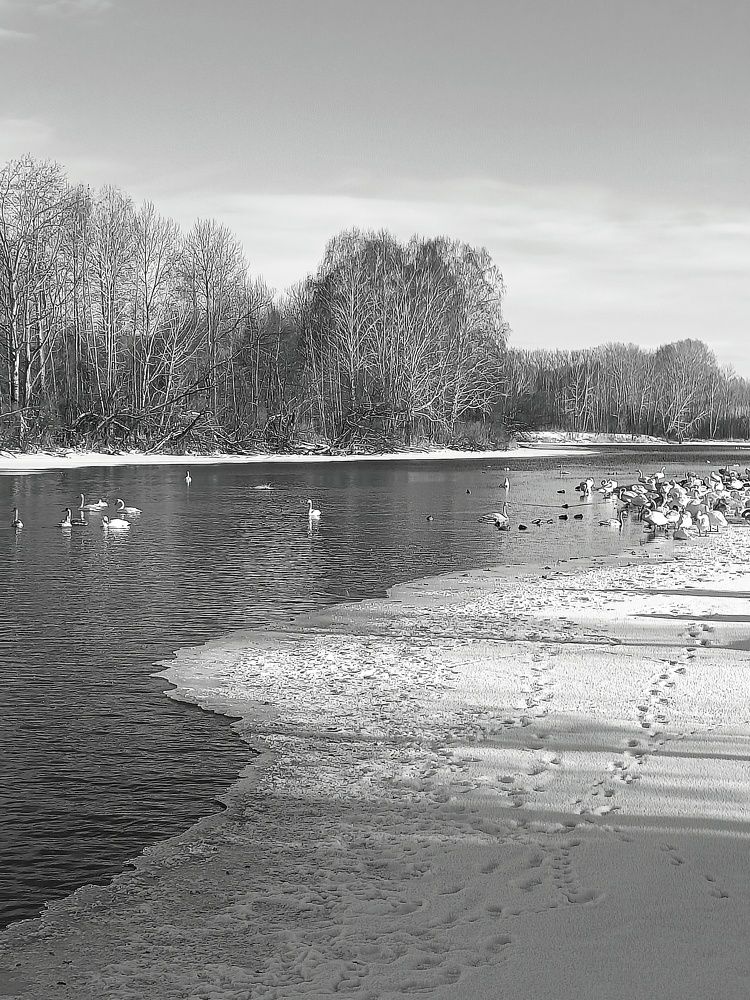 Photo #11582828