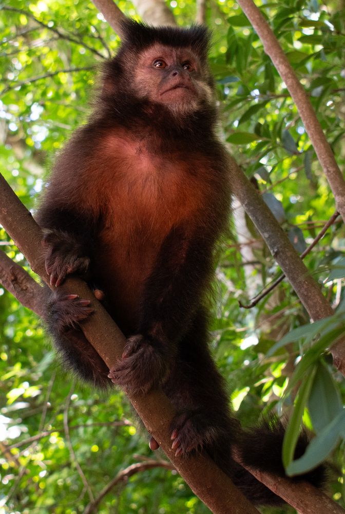 Фотография автора Liliana Cancino Abregu