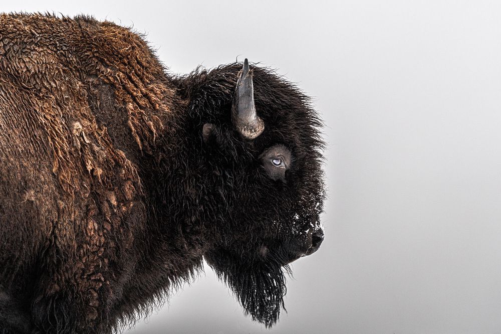 Photograph by Hector Knudsen