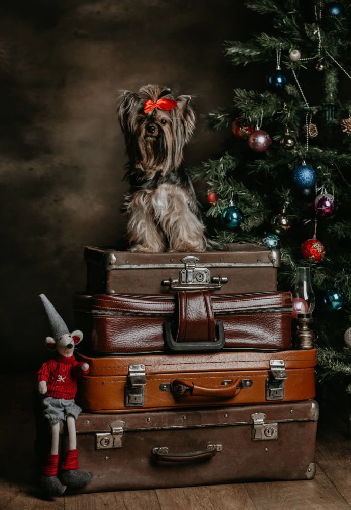 Photograph by Elizaveta Yasyuchenya