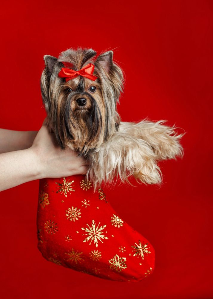 Photograph by Elizaveta Yasyuchenya