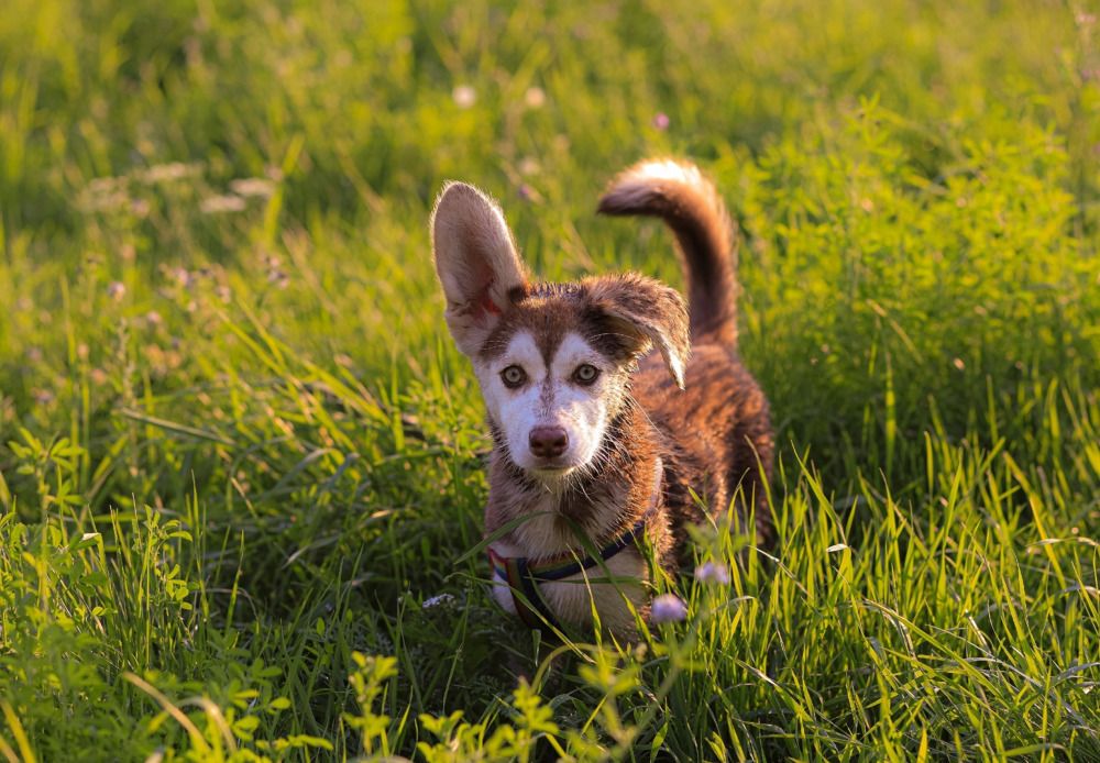 Photograph by Elizaveta Yasyuchenya