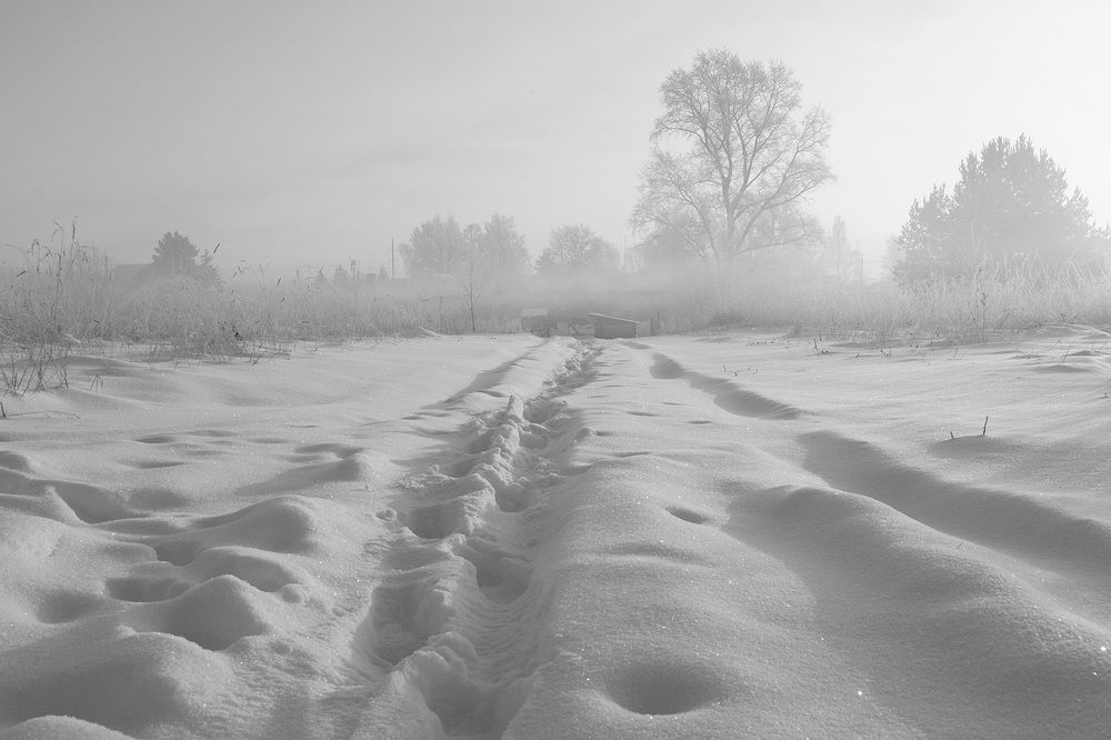 Фотография автора Наталья Липовская
