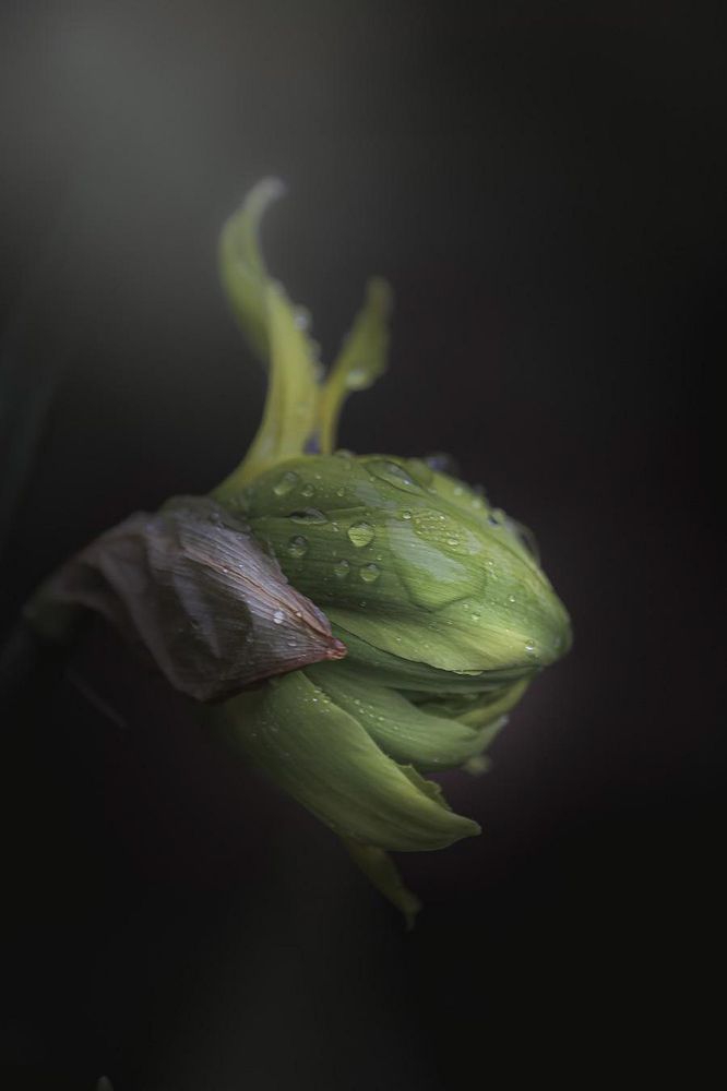 Photograph by Анна Тен