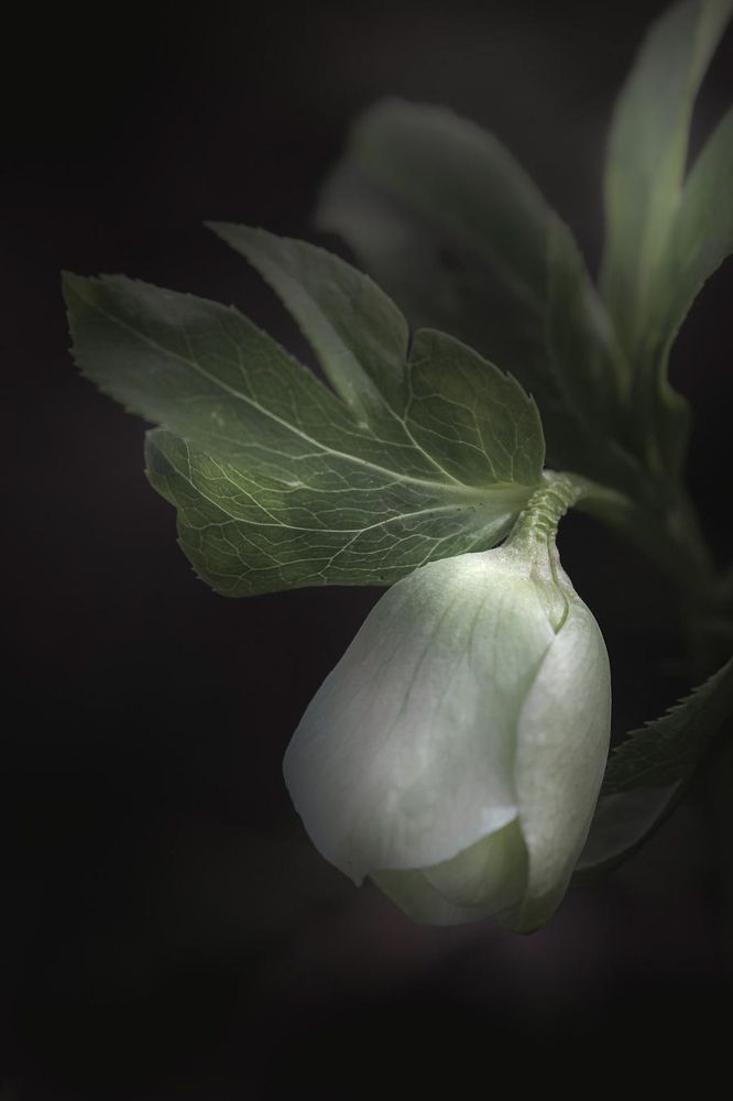 Photograph by Анна Тен