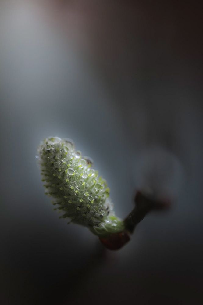 Photograph by Анна Тен