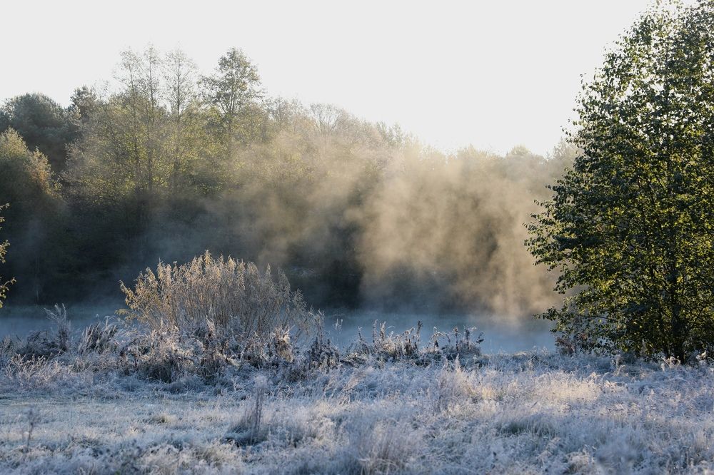 Photograph by Алина