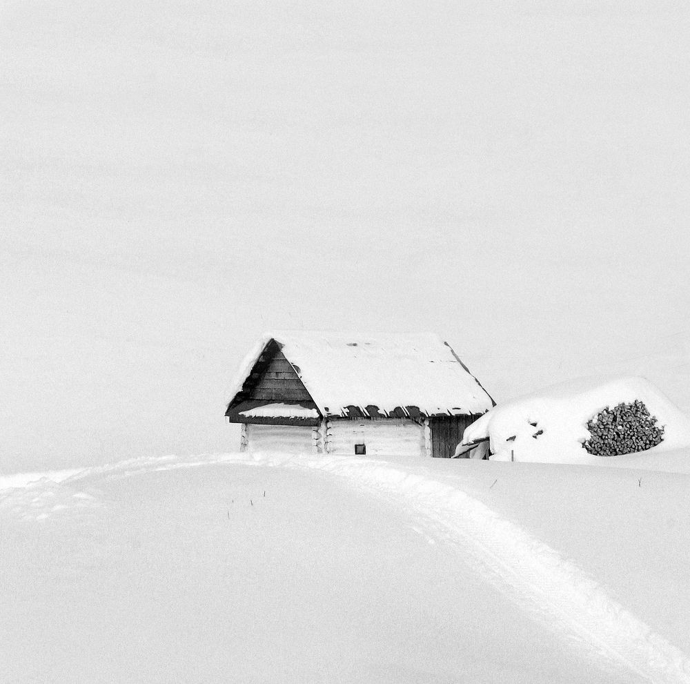 Photograph by Тамара Андреева