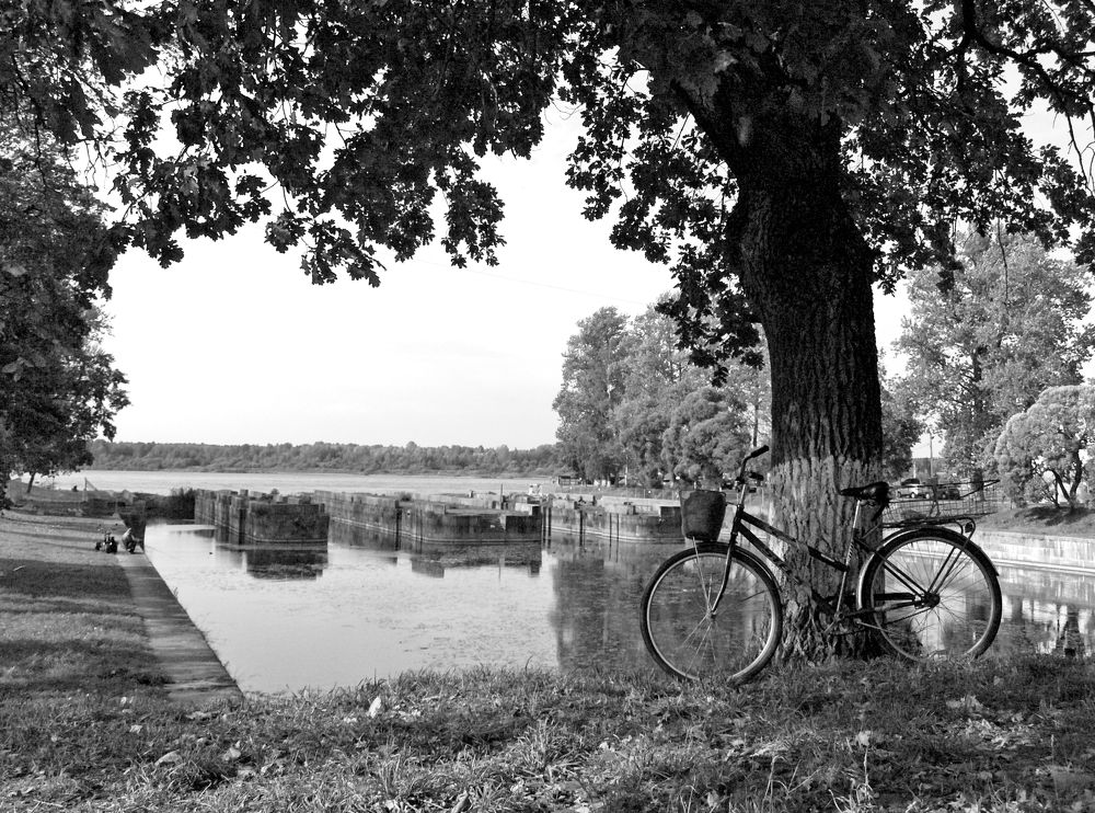 Photograph by Илюшечкина Екатерина