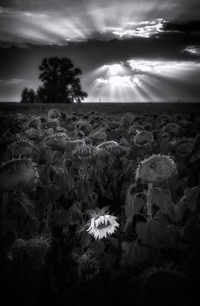 Photograph by Тамара Андреева