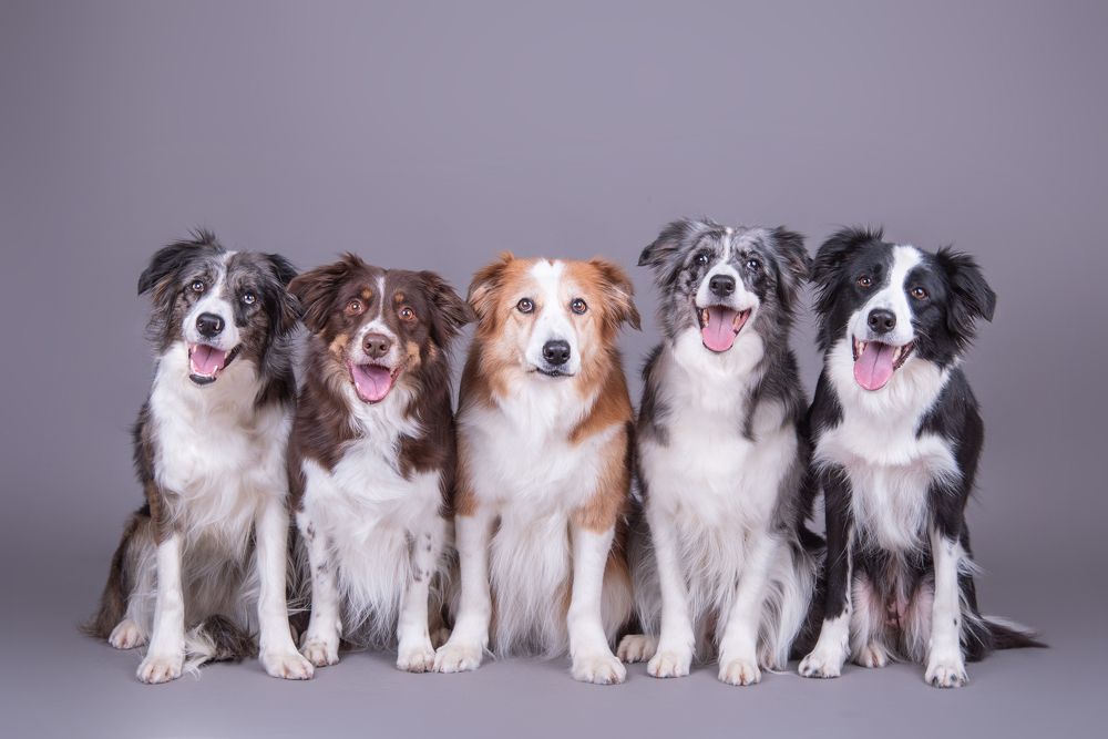 Photograph by наталья залогина