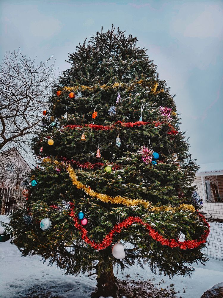 Photograph by Евгений Порсов