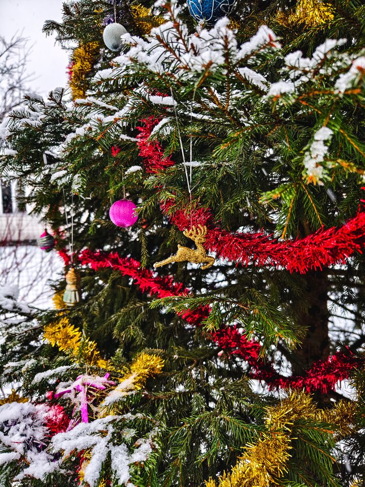 Photograph by Евгений Порсов