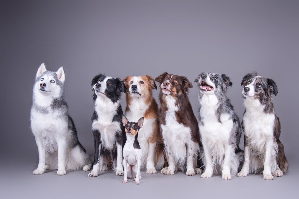 Photograph by наталья залогина