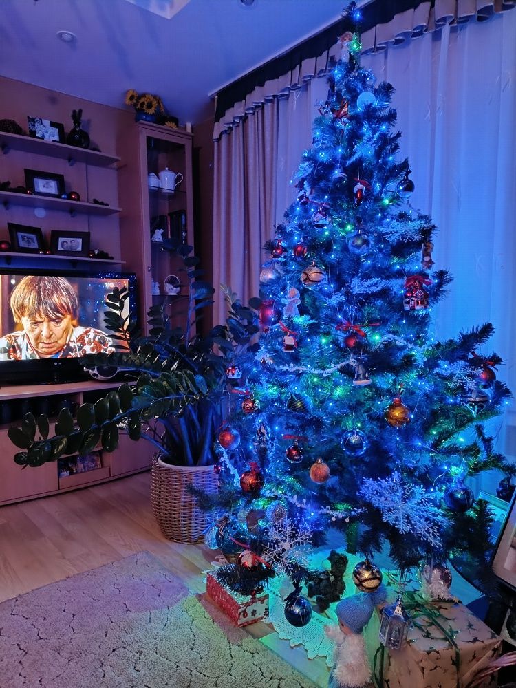 Фотография автора Светлана Анатольевна Чернышова