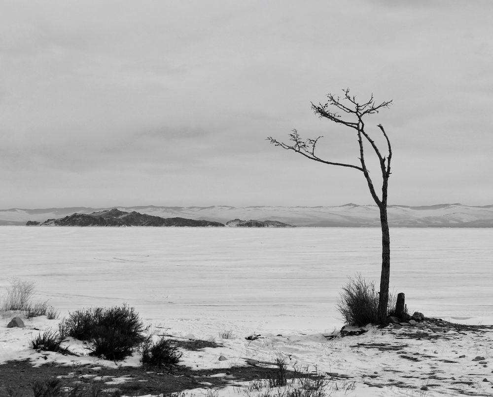 Photograph by Оксана Лоншакова