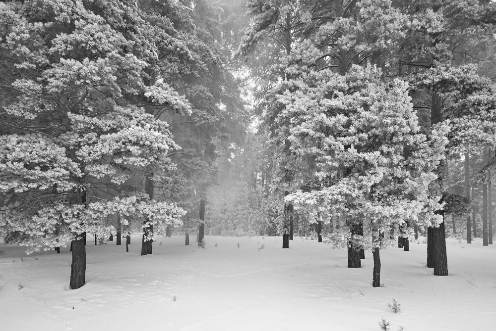 Photograph by Василий Быстрицкий