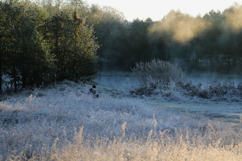 Photograph by Алина