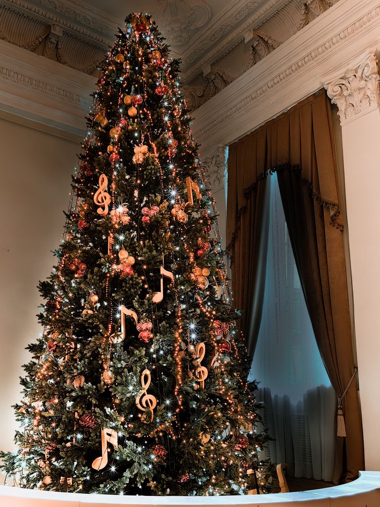 Photograph by Igor M.