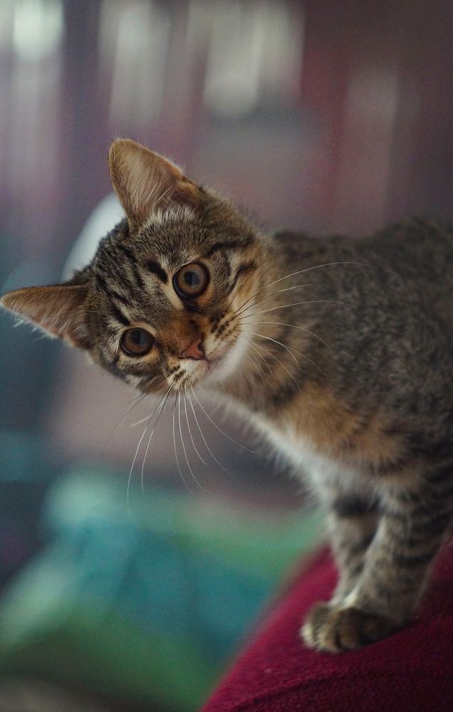 Photograph by Сушкевич Светлана