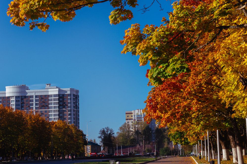 Photograph by Юлия Залогина