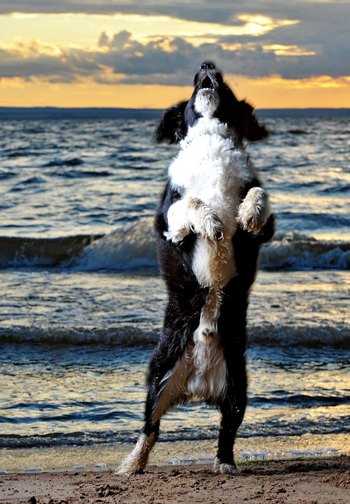 Photograph by Алексей Volg