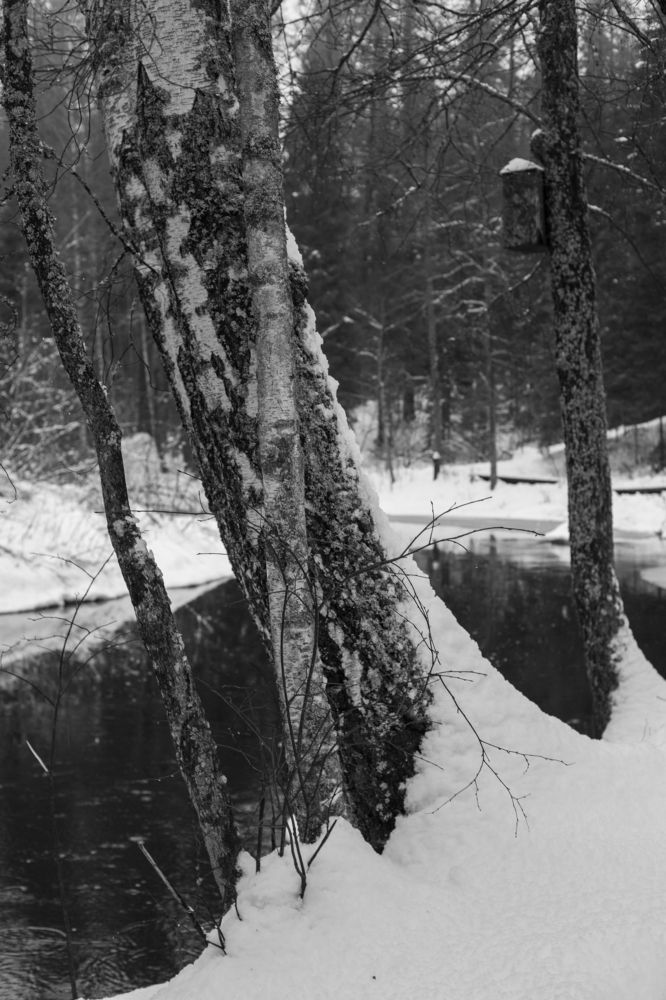 Photograph by Nadezhda Bakina