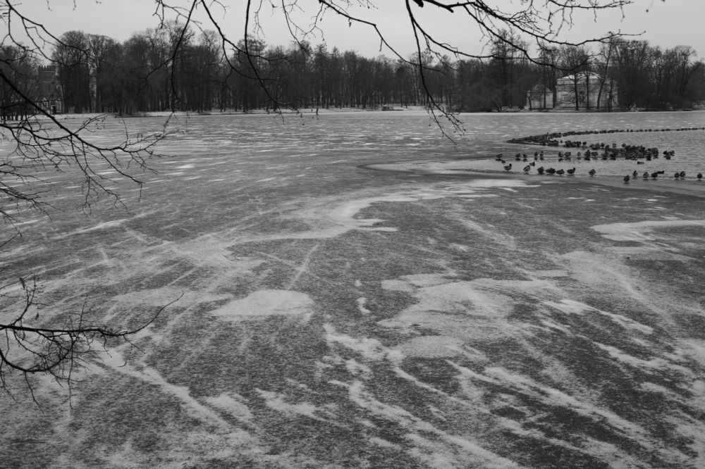 Photograph by Nadezhda Bakina