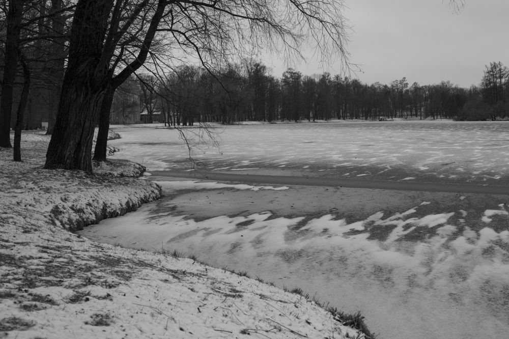 Photograph by Nadezhda Bakina