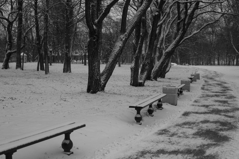 Photograph by Nadezhda Bakina