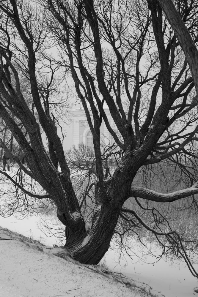 Photograph by Nadezhda Bakina