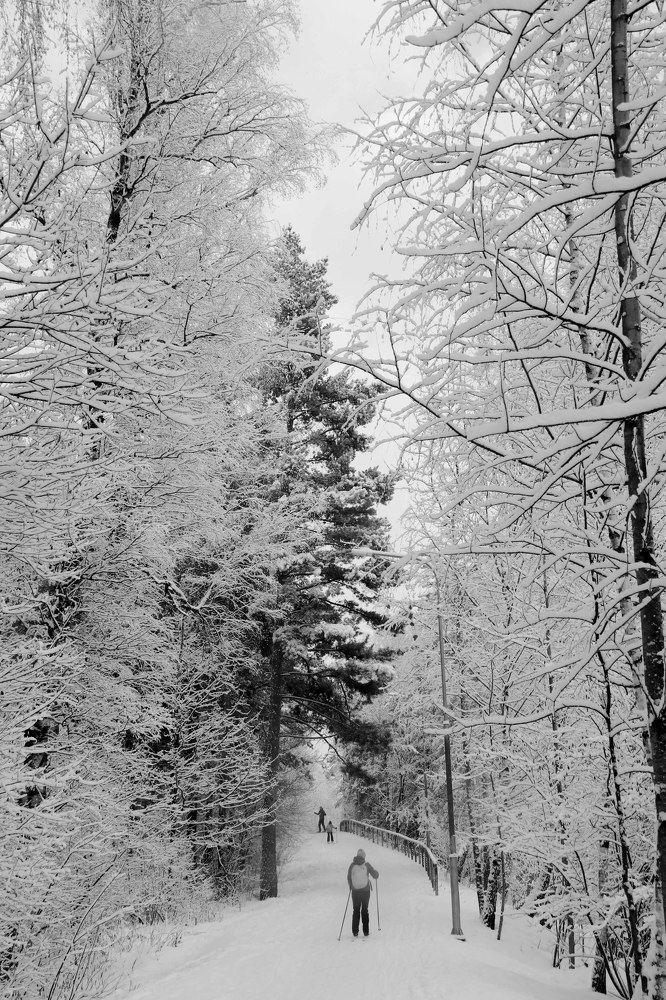 Снежная рапсодия