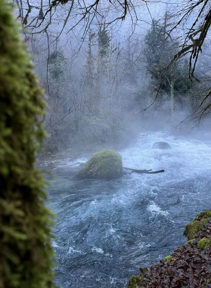 Photograph by Виктория Баева
