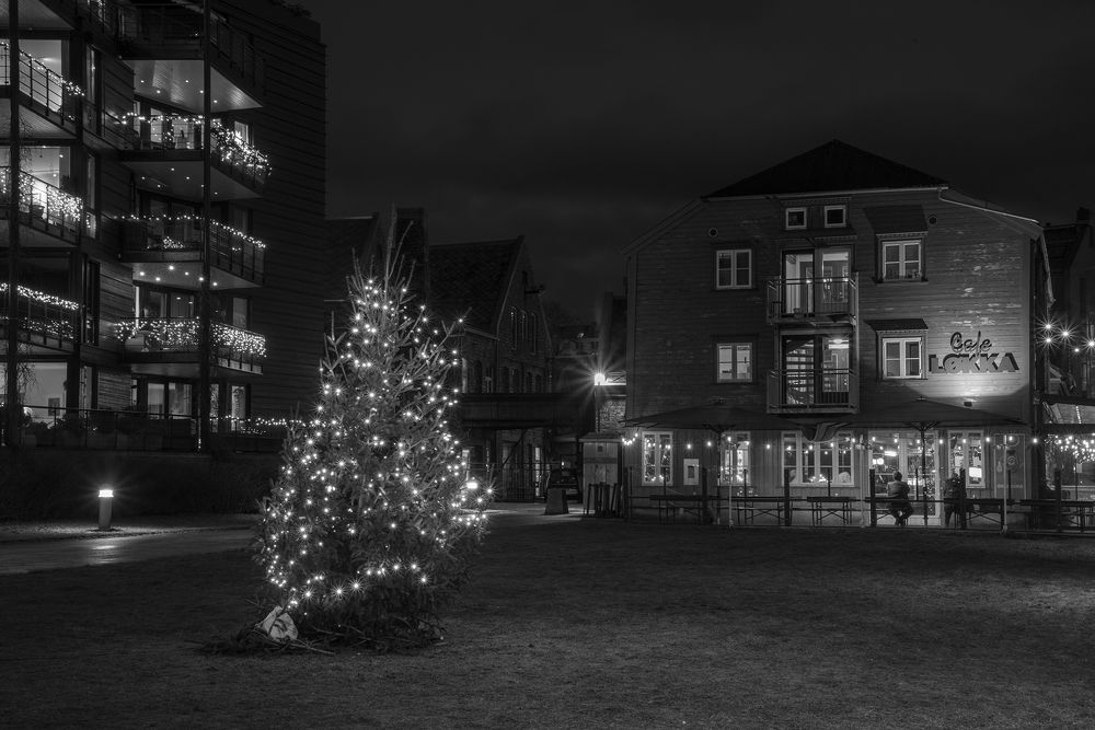 Photograph by Renee Johansson