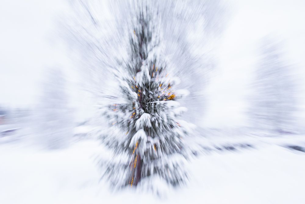 Photograph by Renee Johansson