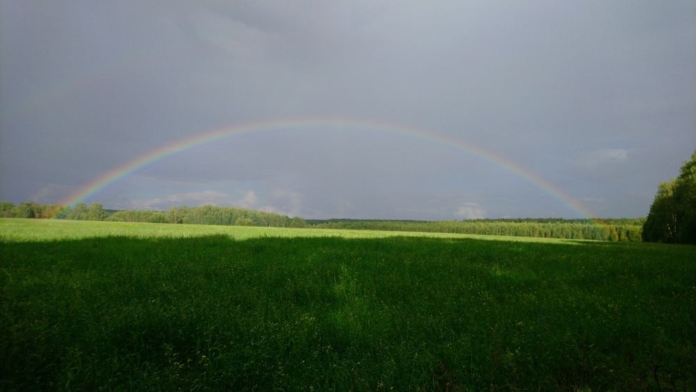 Photograph by Инна Голубева